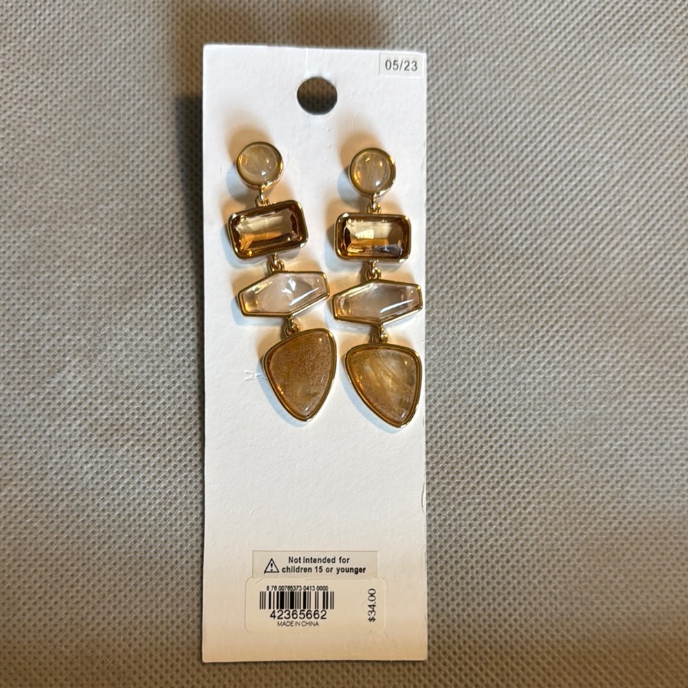 Express Gold and Brown Geometric Earrings